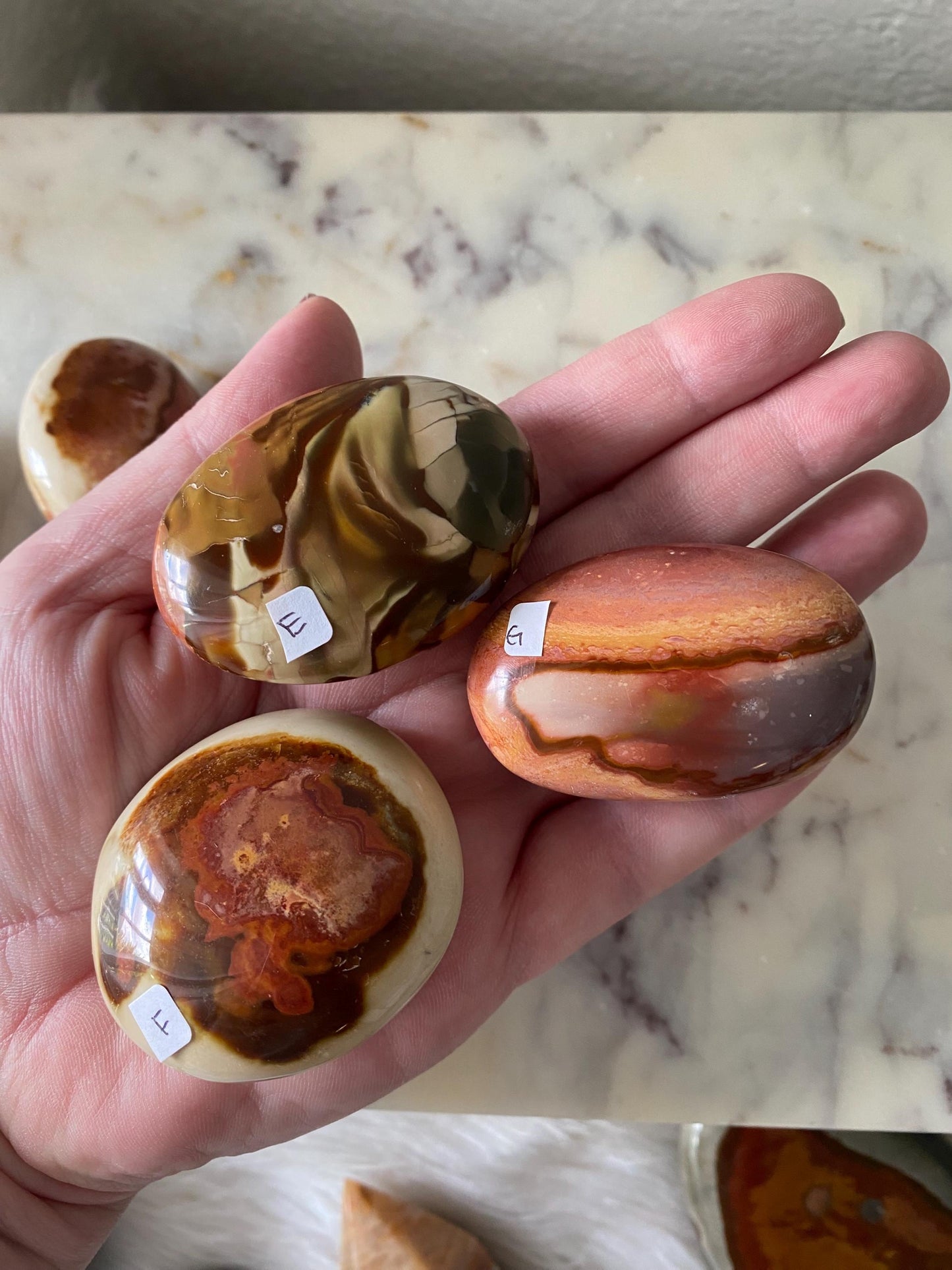 Polychrome Jasper