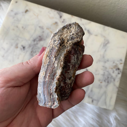 Mexican Crazy Lace Agate