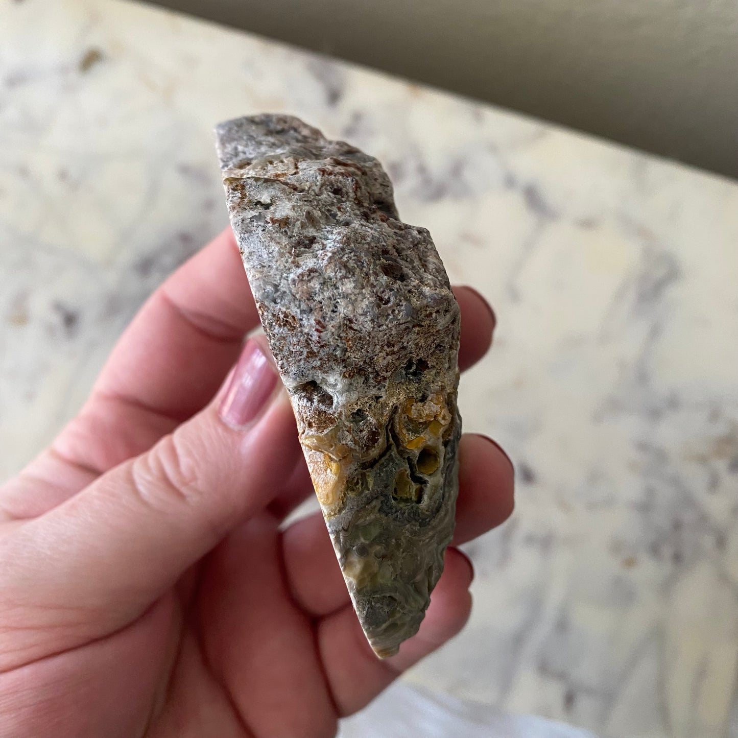Mexican Crazy Lace Agate