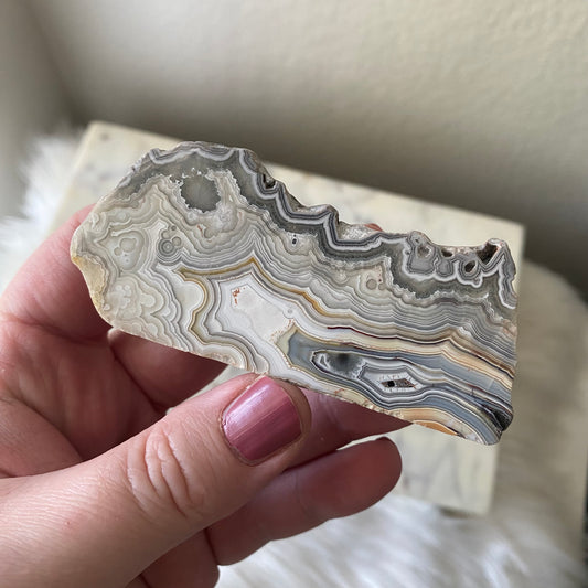 Mexican Crazy Lace Agate