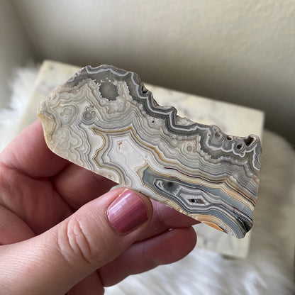 Mexican Crazy Lace Agate