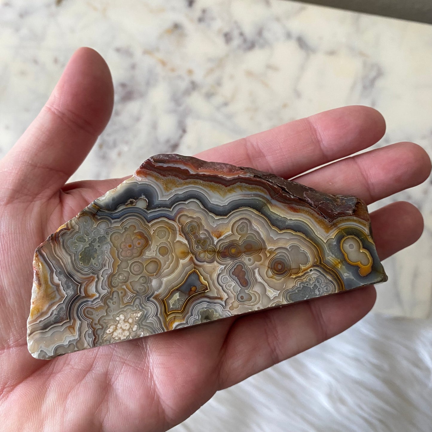 Mexican Crazy Lace Agate