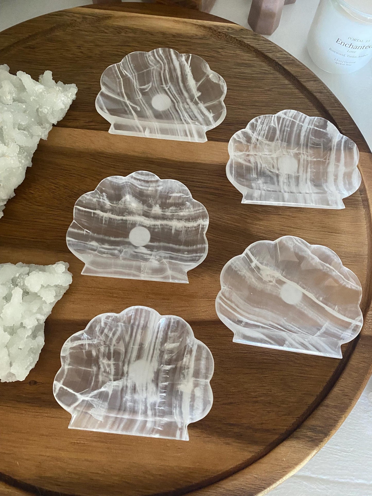 Banded Calcite Seashell