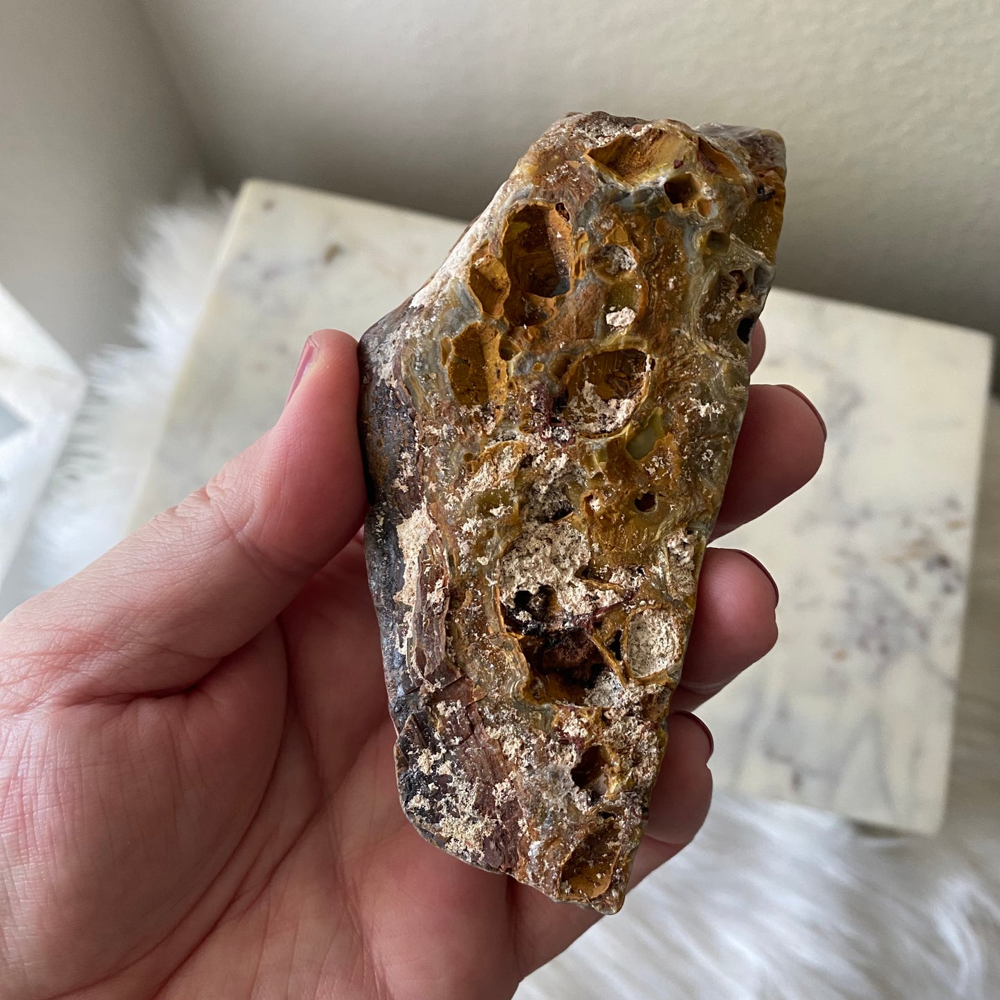 Mexican Crazy Lace Agate
