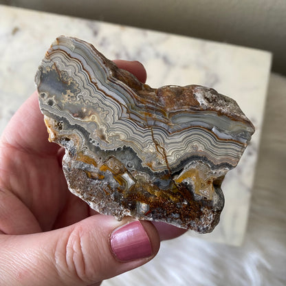 Mexican Crazy Lace Agate