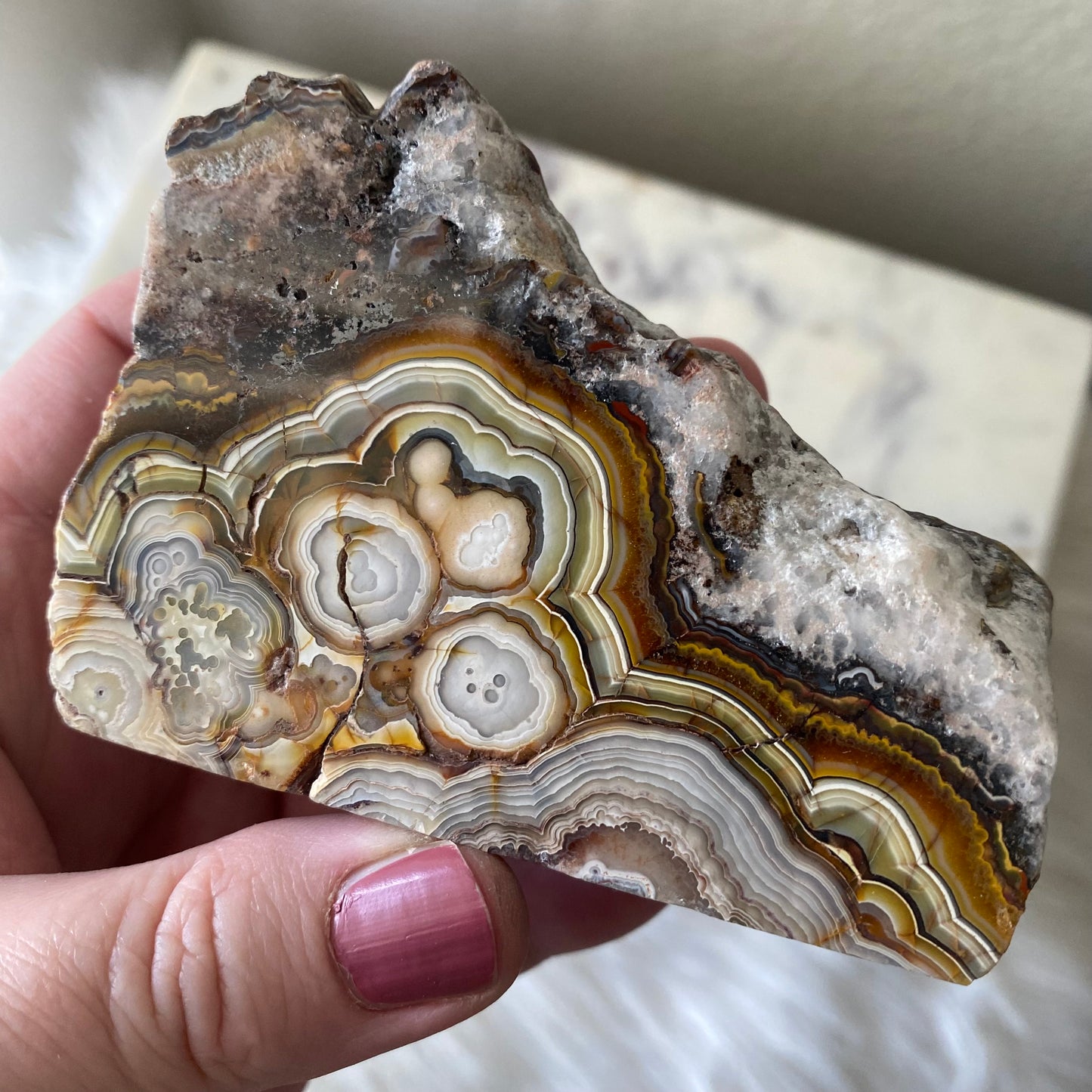 Mexican Crazy Lace Agate