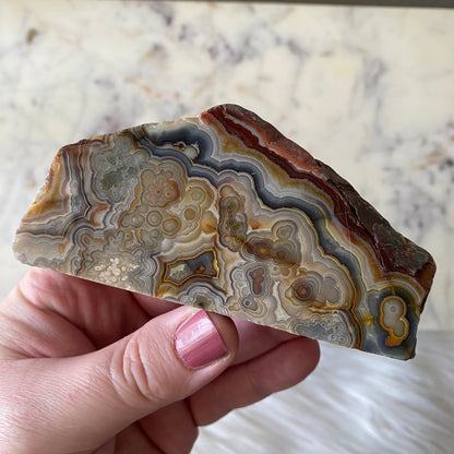 Mexican Crazy Lace Agate