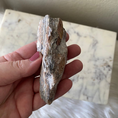 Mexican Crazy Lace Agate