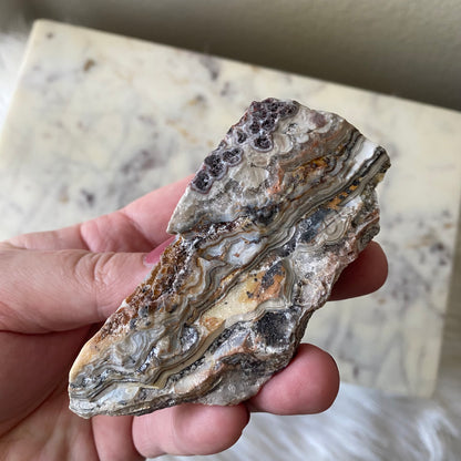 Mexican Crazy Lace Agate