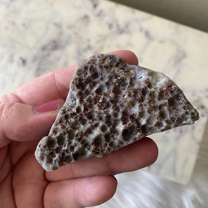 Mexican Crazy Lace Agate
