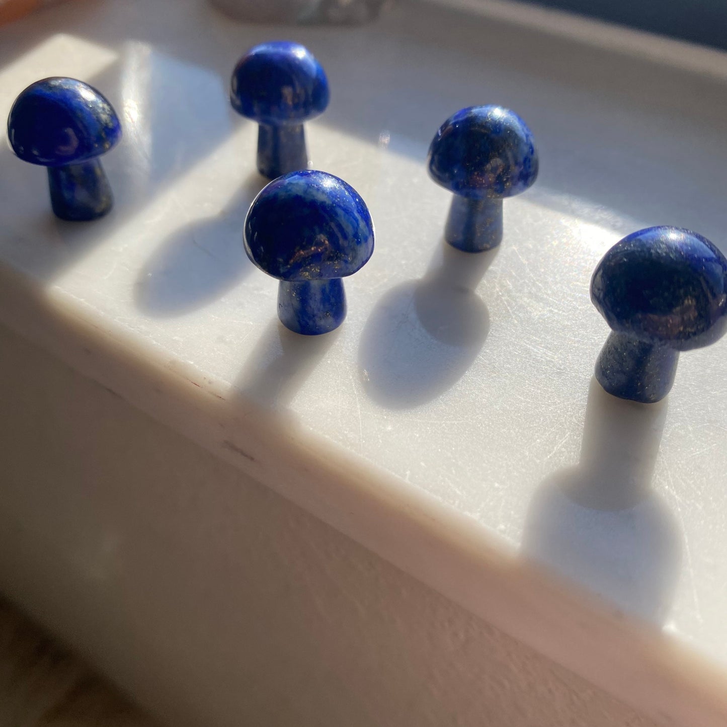 Lapis Lazuli Mushroom