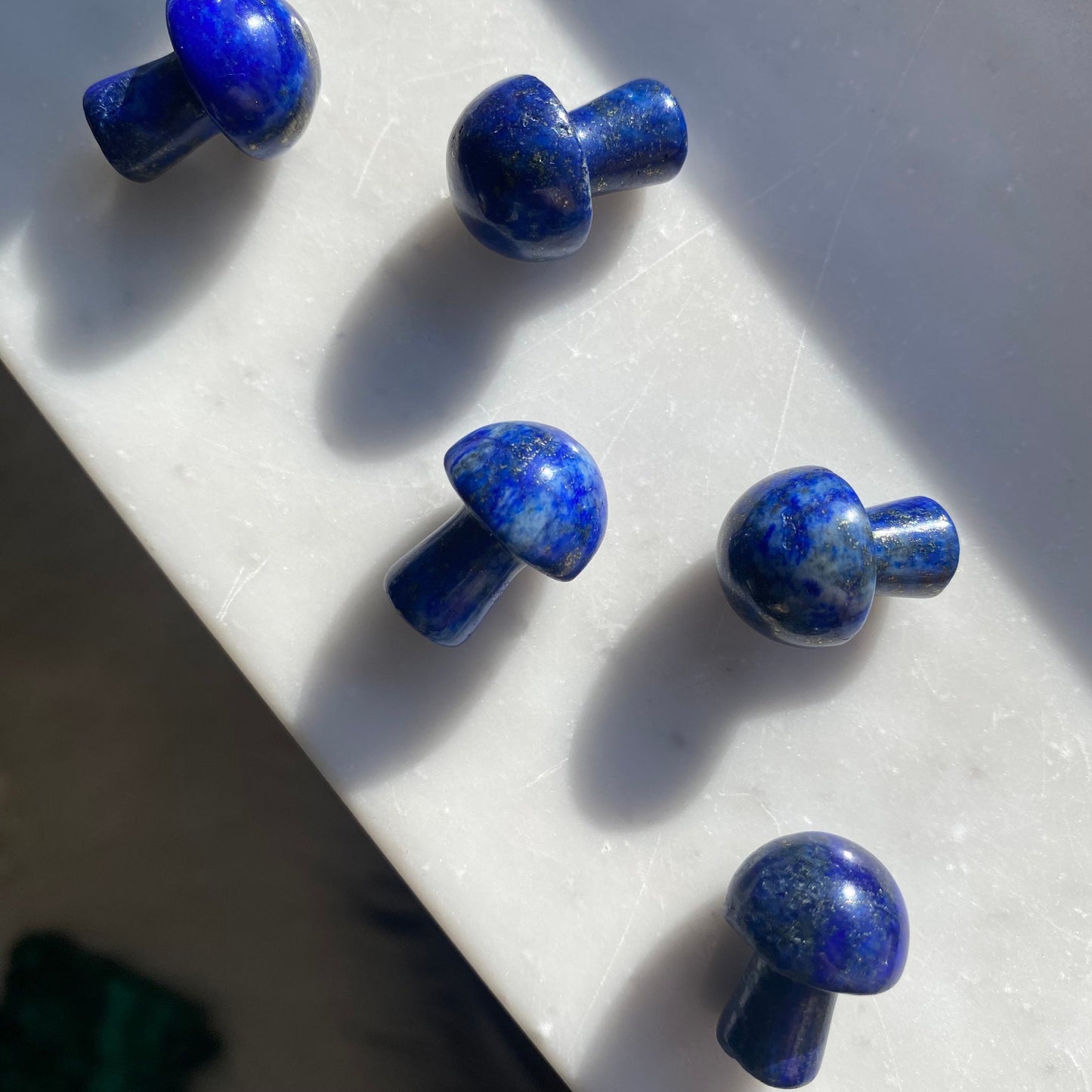 Lapis Lazuli Mushroom