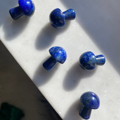 Lapis Lazuli Mushroom