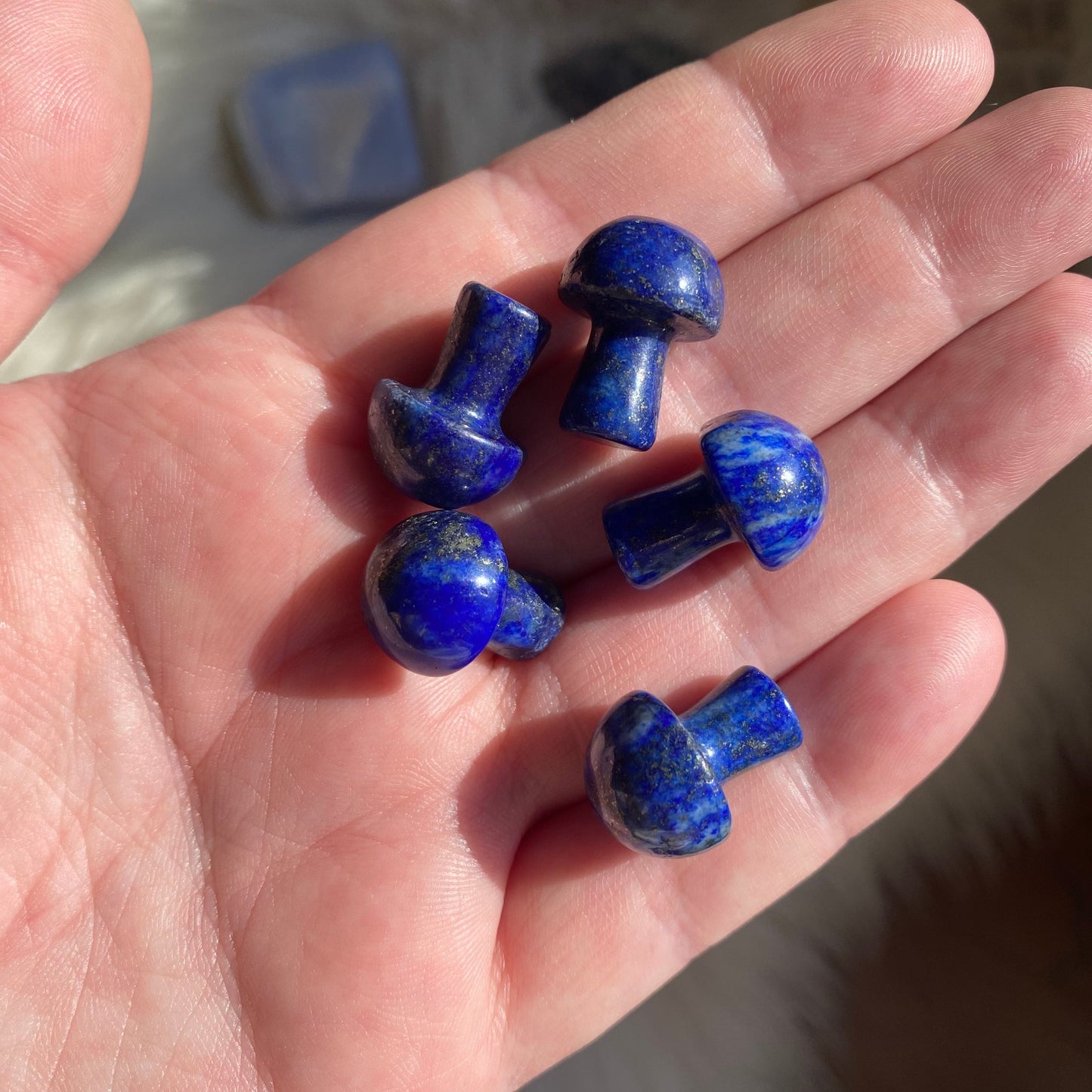Lapis Lazuli Mushroom