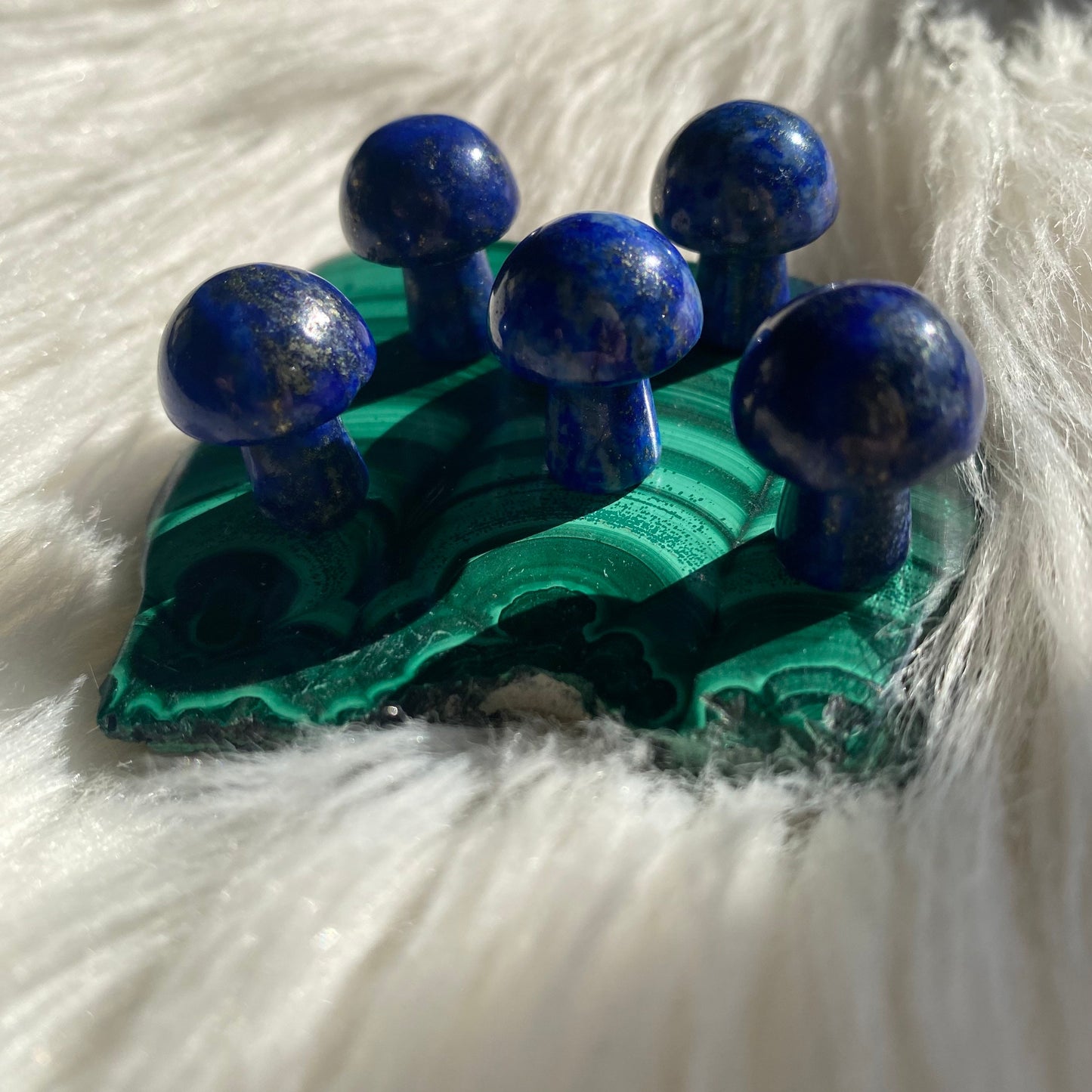 Lapis Lazuli Mushroom