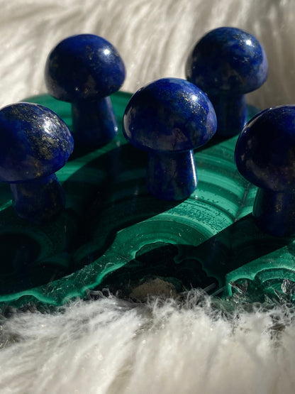Lapis Lazuli Mushroom
