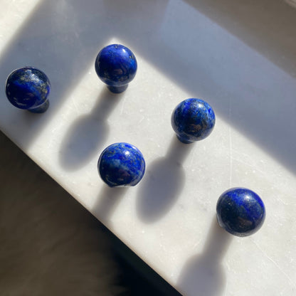 Lapis Lazuli Mushroom