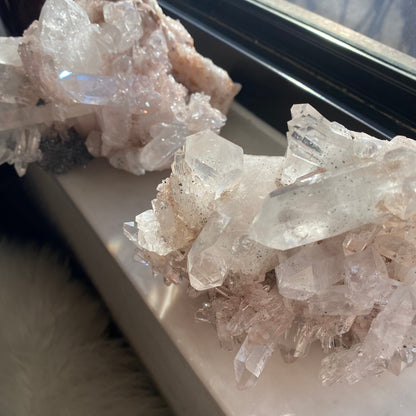 Pink Lemurian