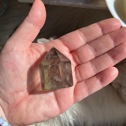 Garden Quartz / Lodolite Quartz