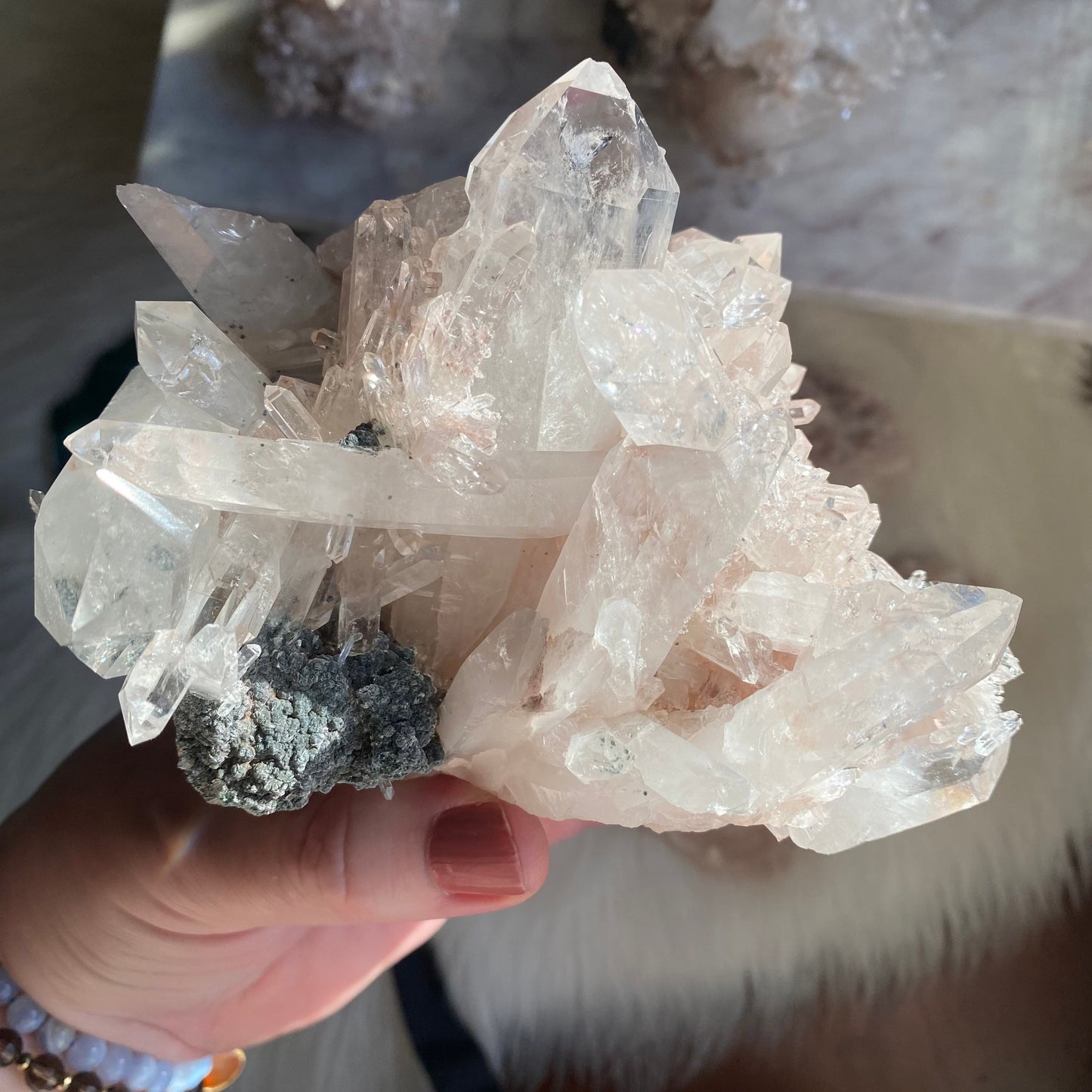 Pink Lemurian