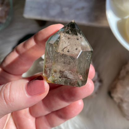 Garden Quartz / Lodolite Quartz