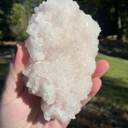 Pink Halite
