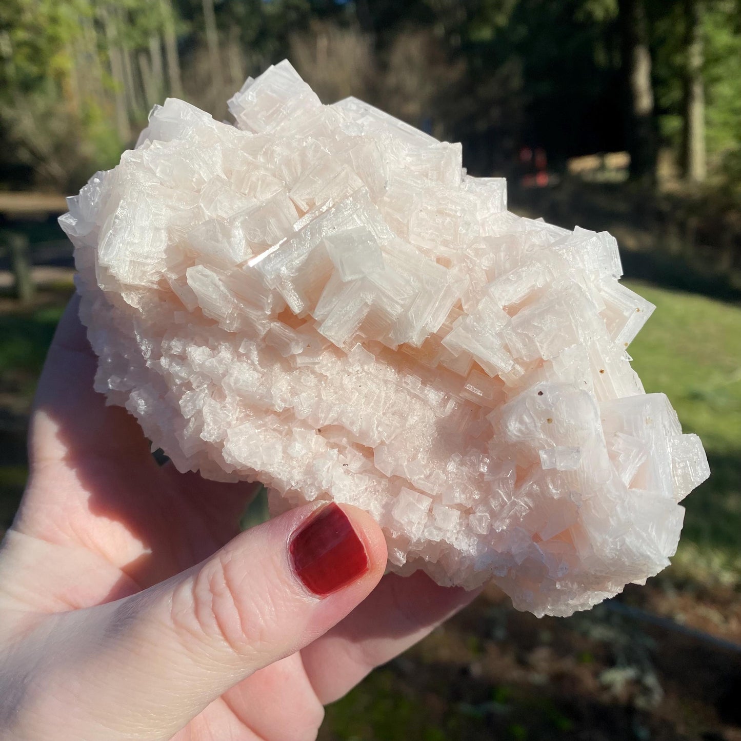 Pink Halite
