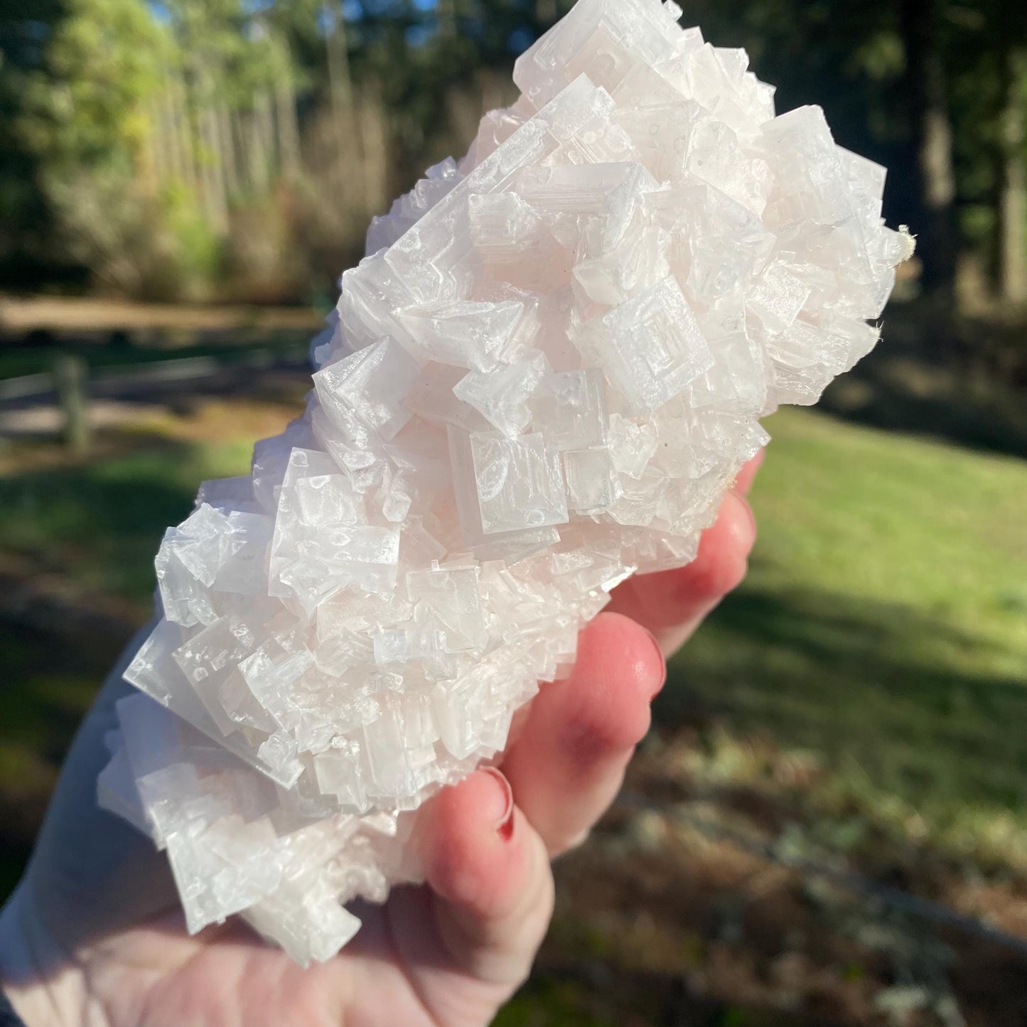 Pink Halite