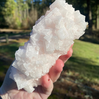 Pink Halite