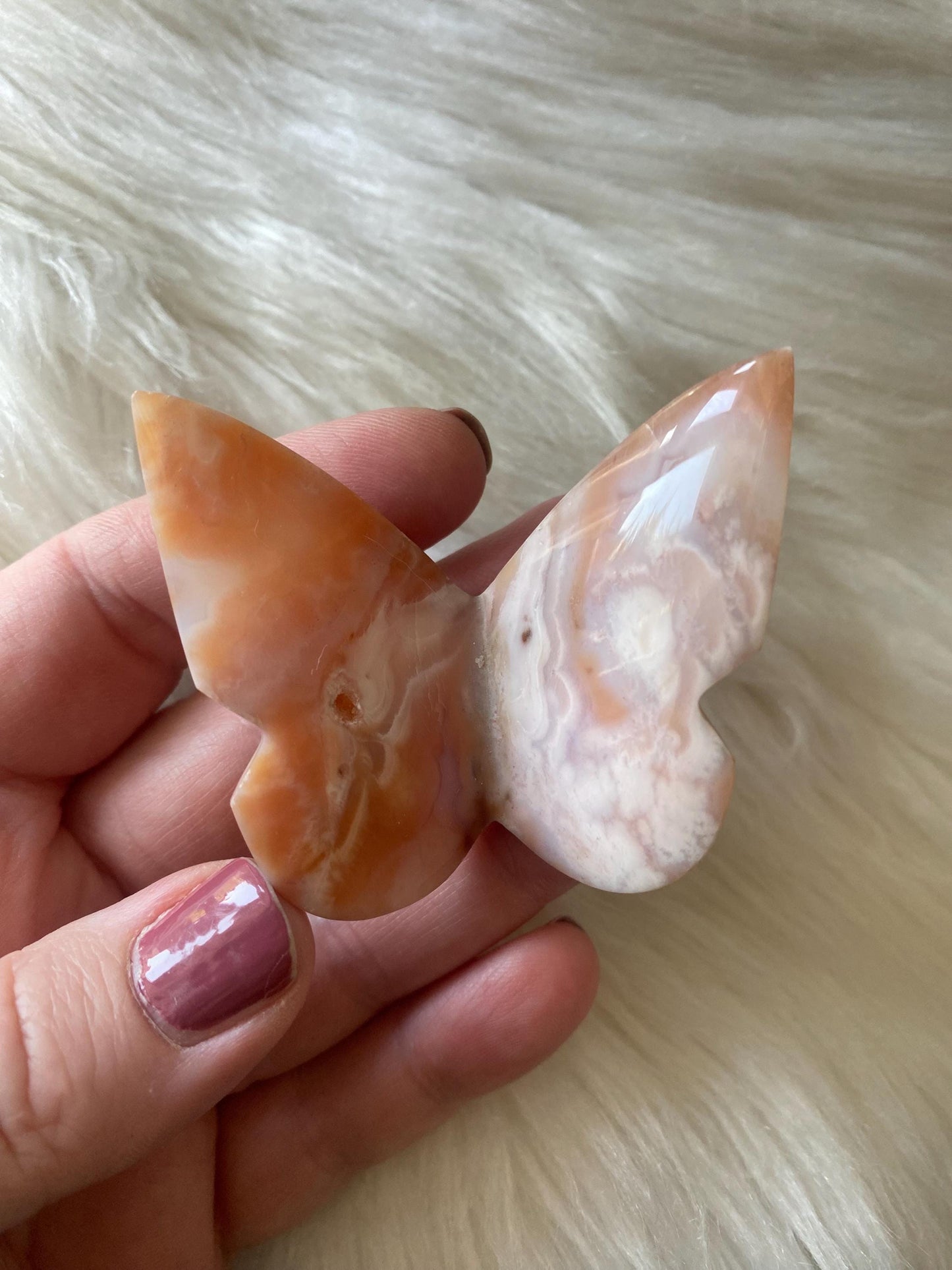 Carnelian Butterfly