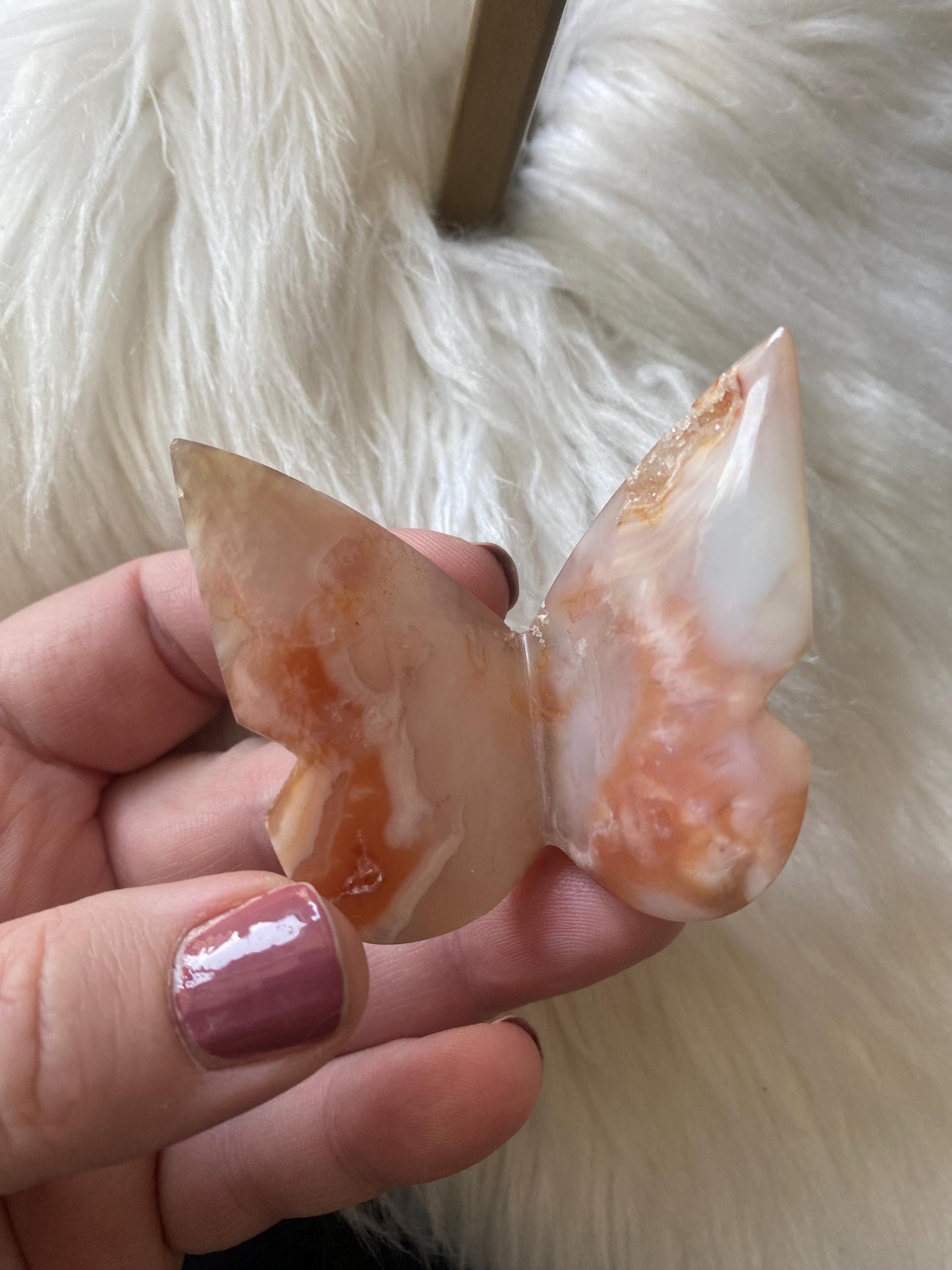 Carnelian Butterfly