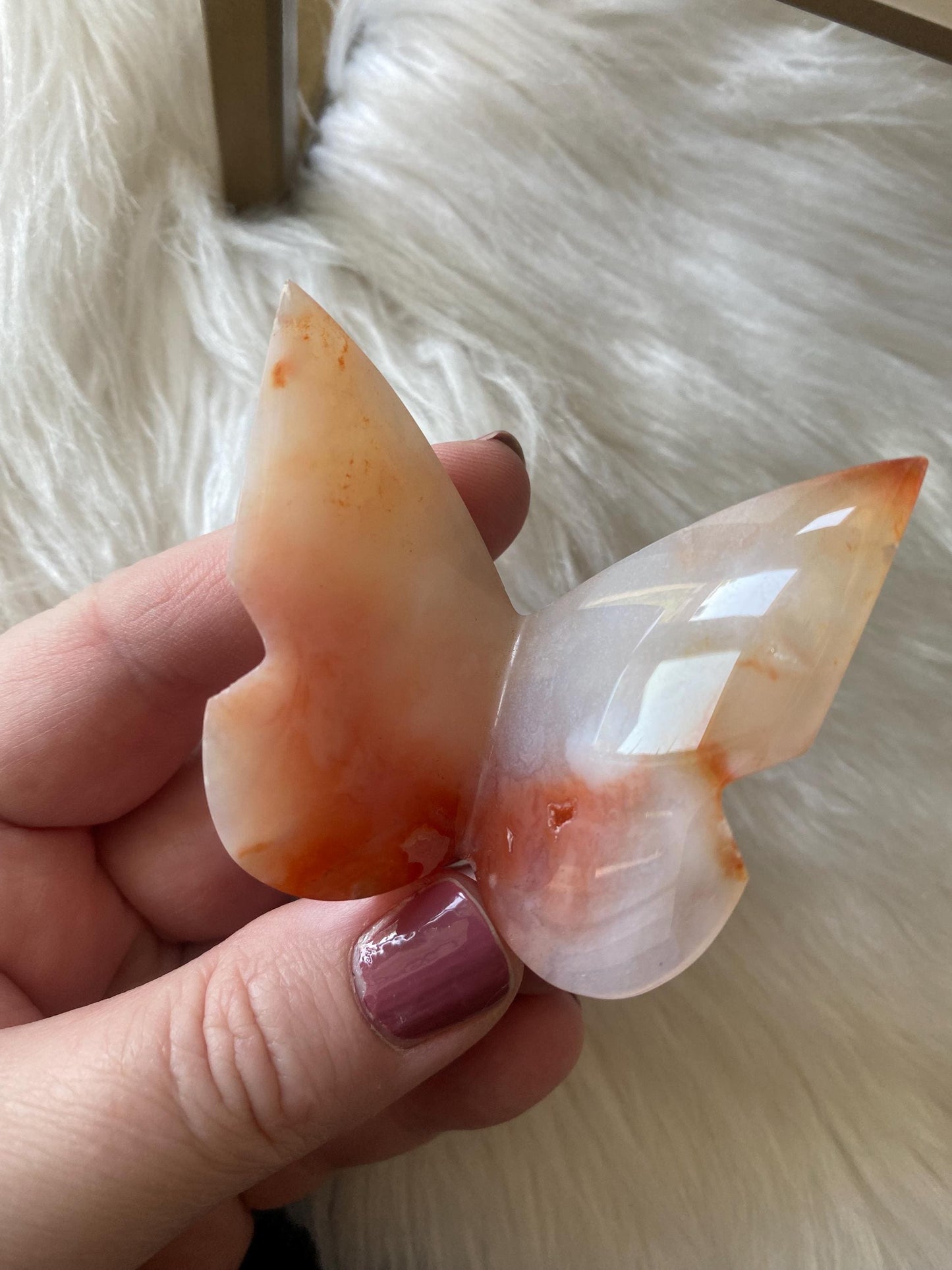 Carnelian Butterfly