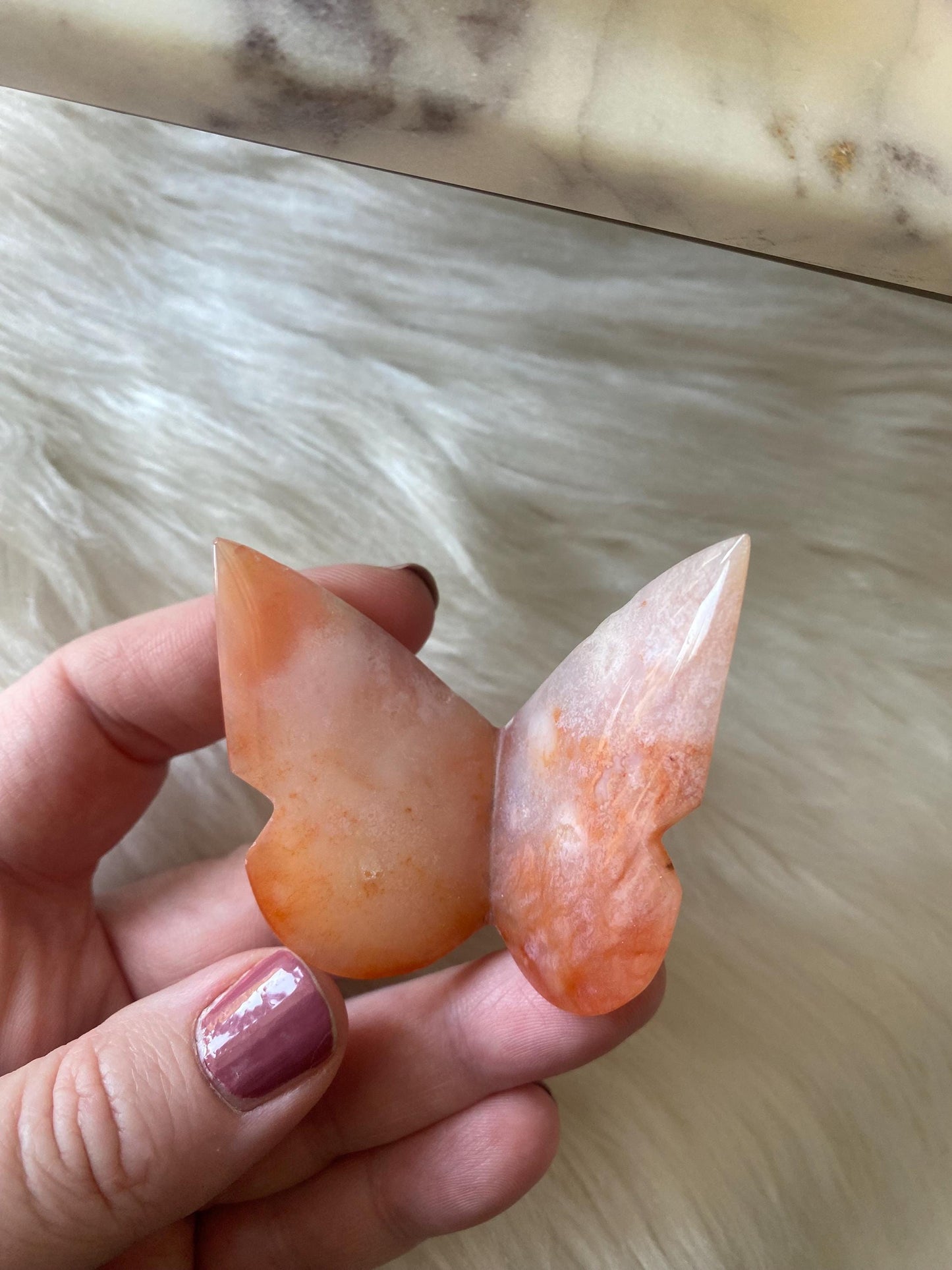 Carnelian Butterfly