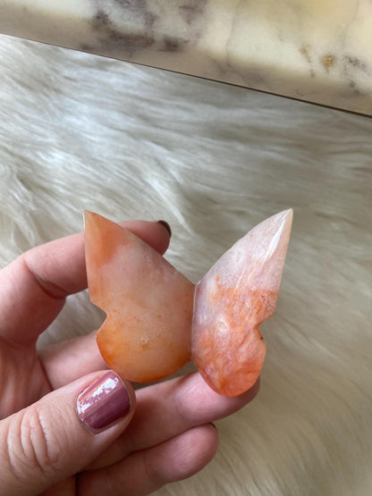 Carnelian Butterfly