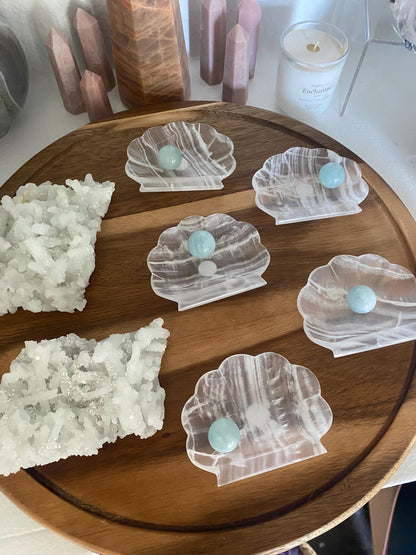 White Onyx Seashell