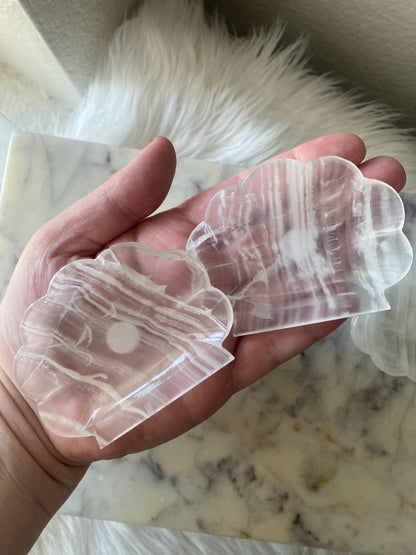 White Onyx Seashell