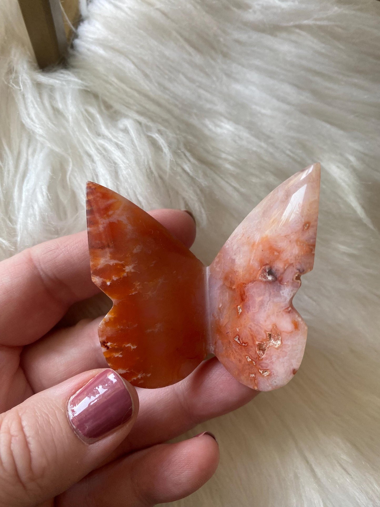 Carnelian Butterfly