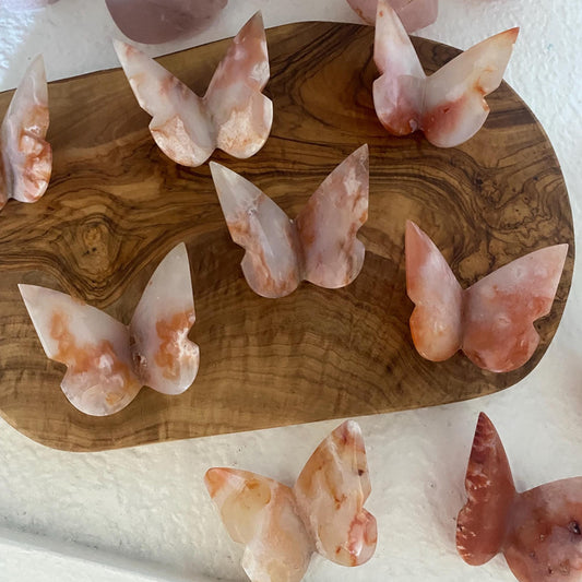 Carnelian Butterfly