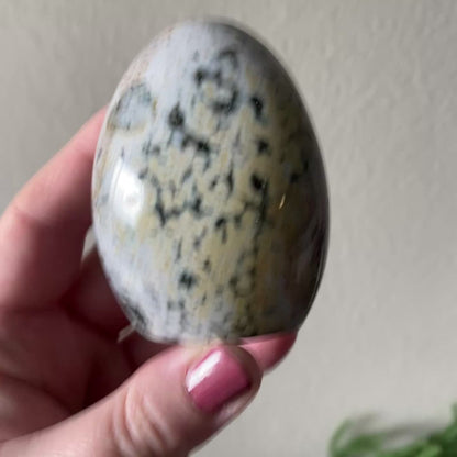 Sea Jasper Freeform